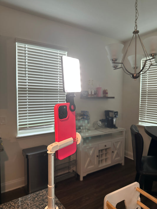 TG High Power Clip Light